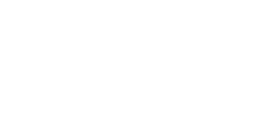 monacochain logo